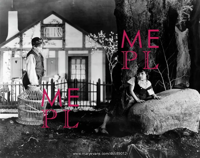 : Tula Belle - Robin Macdougall - Historical : Tula Belle - Robin Macdougall - Historical