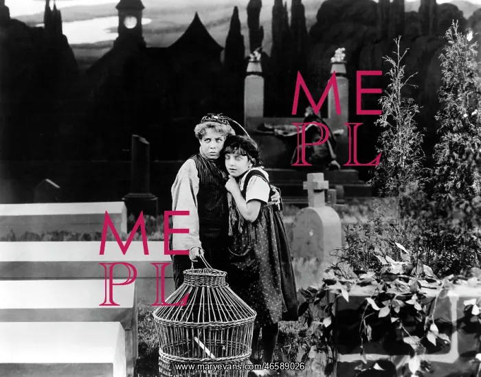 : Tula Belle - Robin Macdougall - Historical : Tula Belle - Robin Macdougall - Historical