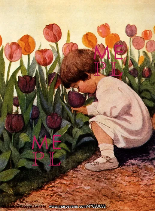  : Tulip Time