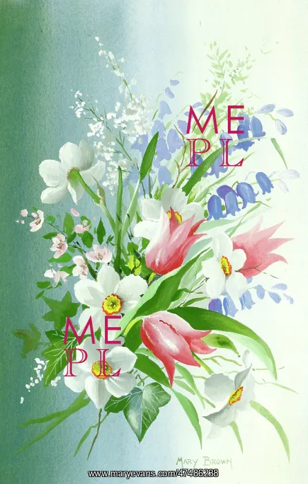  : Tulips, bluebells, narcissi etc