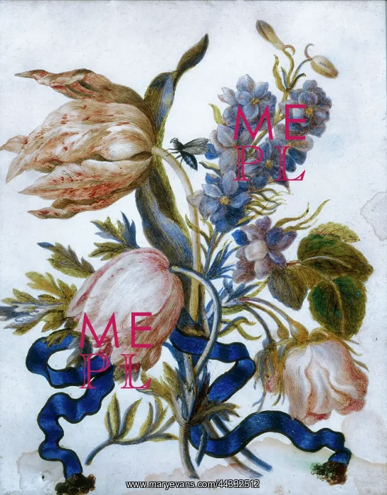 : Tulips and Delphinium tied together : Tulips and Delphinium tied together