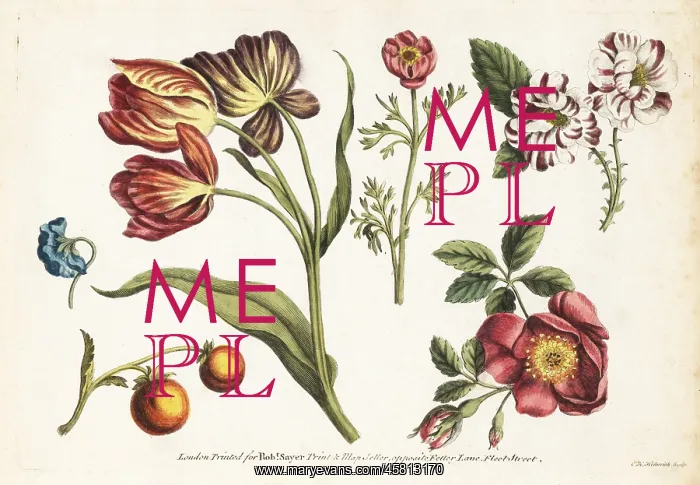 : Tulips, dog roses, carnations and fruit : Tulips, dog roses, carnations and fruit