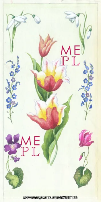 : Tulips with snowdrops, forget-me-nots etc : Tulips with snowdrops, forget-me-nots etc
