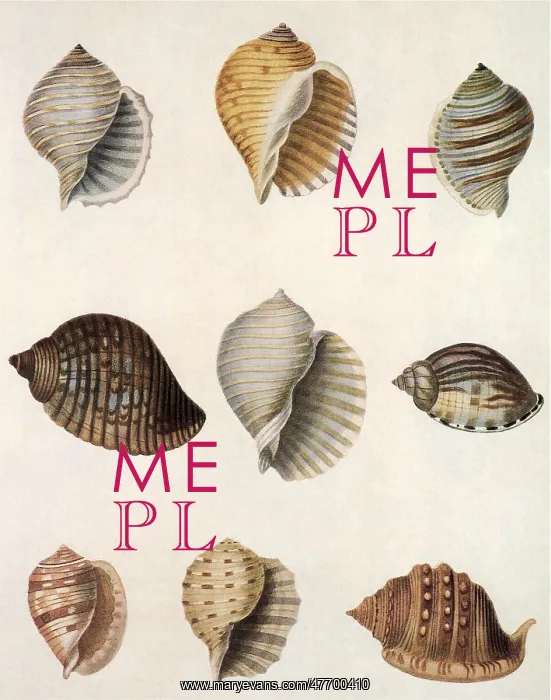  : Tun Shells
