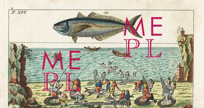 : Tuna fishing method and horse mackerel : Tuna fishing method and horse mackerel