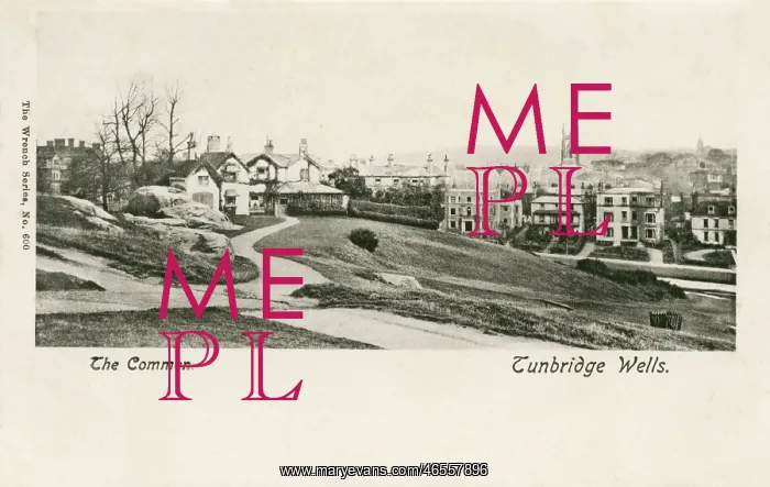  : Tunbridge Wells, Common