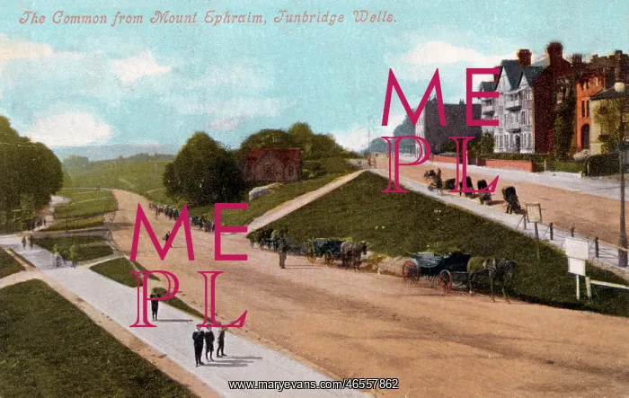  : Tunbridge Wells, the Common from Mount Ephraim