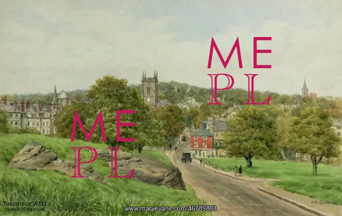 : Tunbridge Wells, Kent, viewed from Mount Ephraim : Tunbridge Wells, Kent, viewed from Mount Ephraim