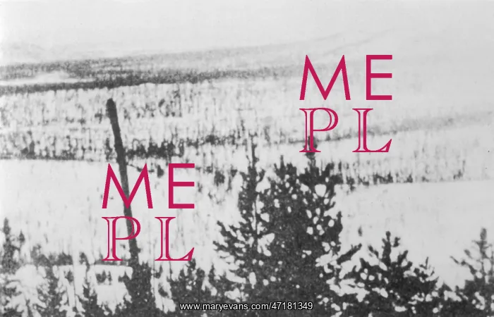 : TUNGUSKA DESTRUCTION : TUNGUSKA DESTRUCTION