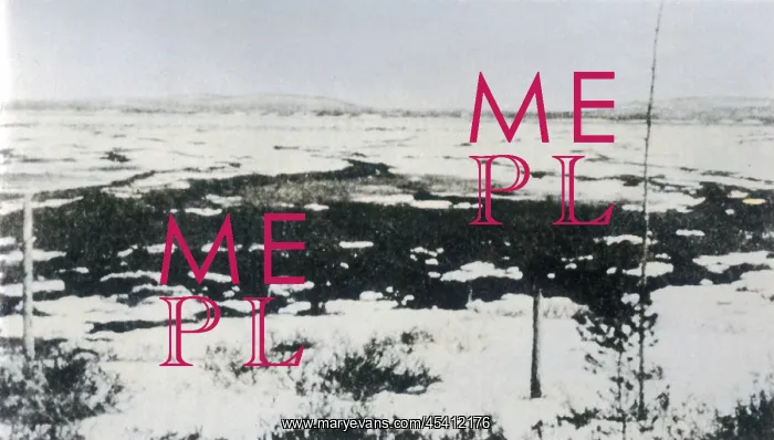 : Tunguska Epicentre : Tunguska Epicentre