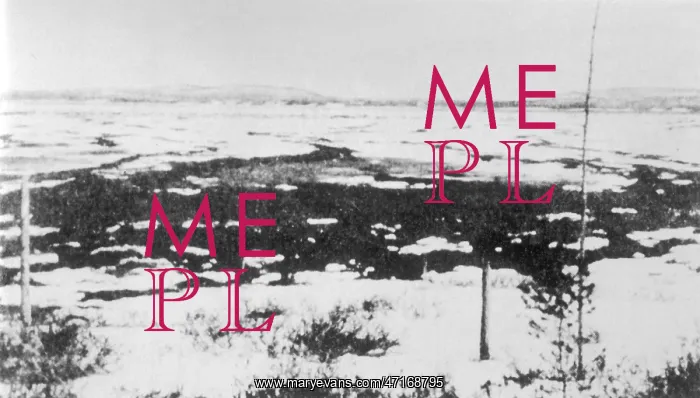 : Tunguska Epicentre : Tunguska Epicentre