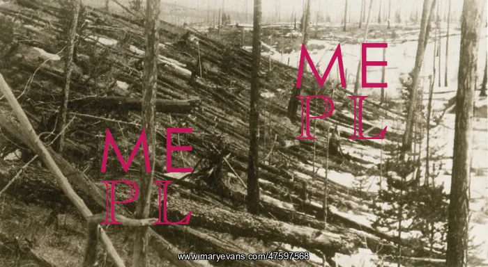 : Tunguska Event, 1908 : Tunguska Event, 1908