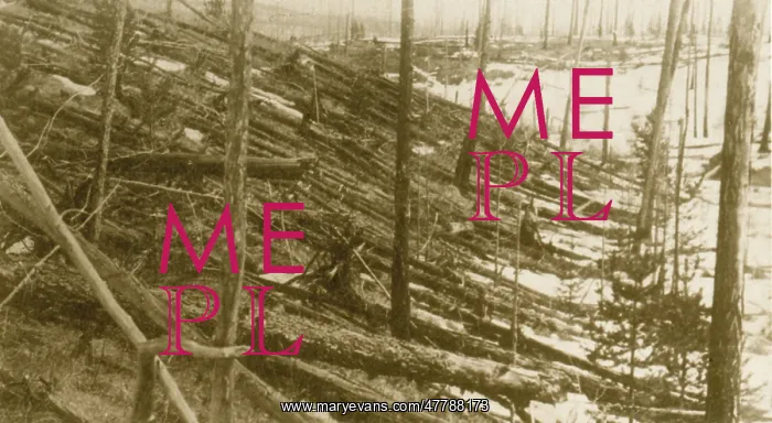 : Tunguska Event, 1908 : Tunguska Event, 1908