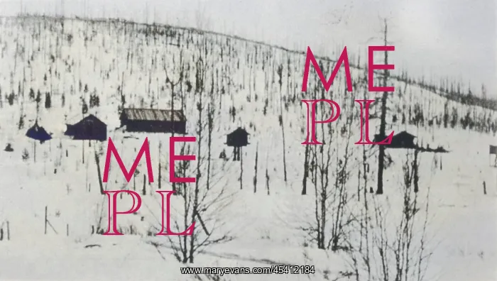 : TUNGUSKA KULIK CAMP : TUNGUSKA KULIK CAMP