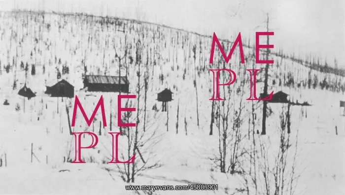 : TUNGUSKA KULIK CAMP : TUNGUSKA KULIK CAMP