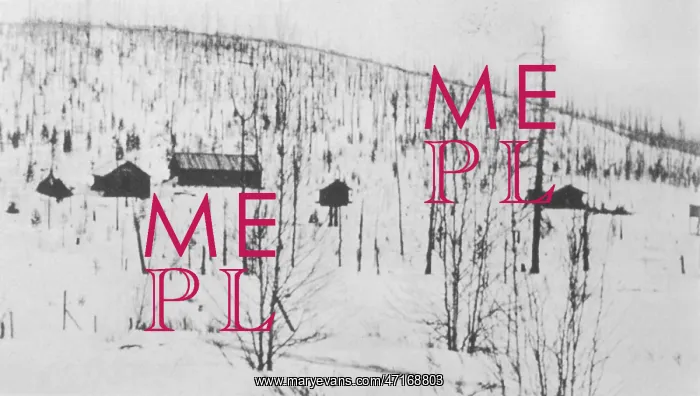: TUNGUSKA KULIK CAMP : TUNGUSKA KULIK CAMP