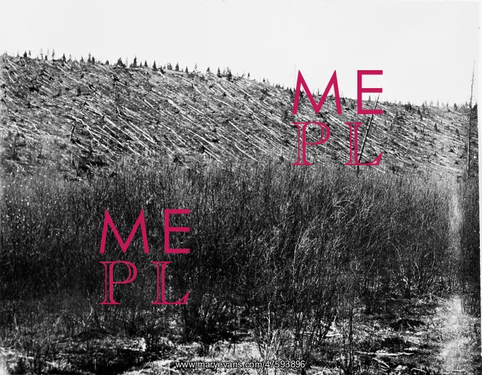 : Tunguska meteorite damage, Siberia : Tunguska meteorite damage, Siberia