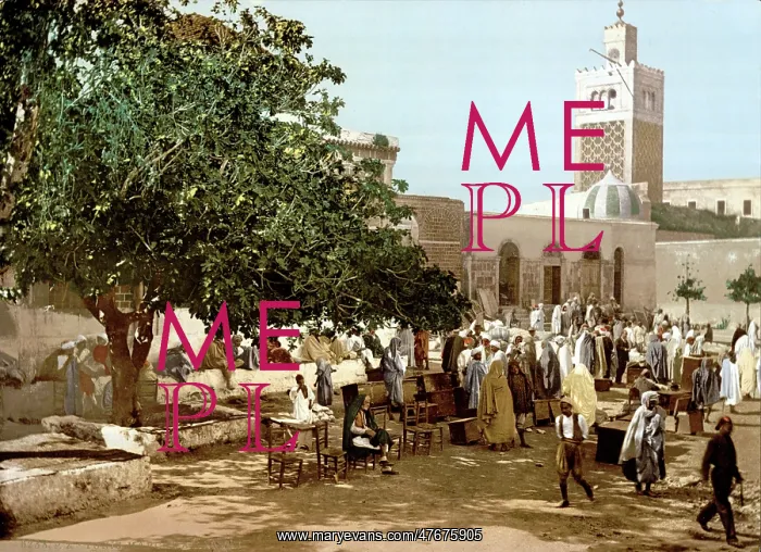 : Tunis, Kasbah Market, 1899 : Tunis, Kasbah Market, 1899