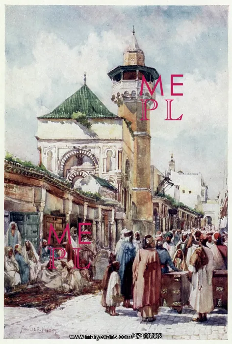 : TUNIS MOSQUE : TUNIS MOSQUE