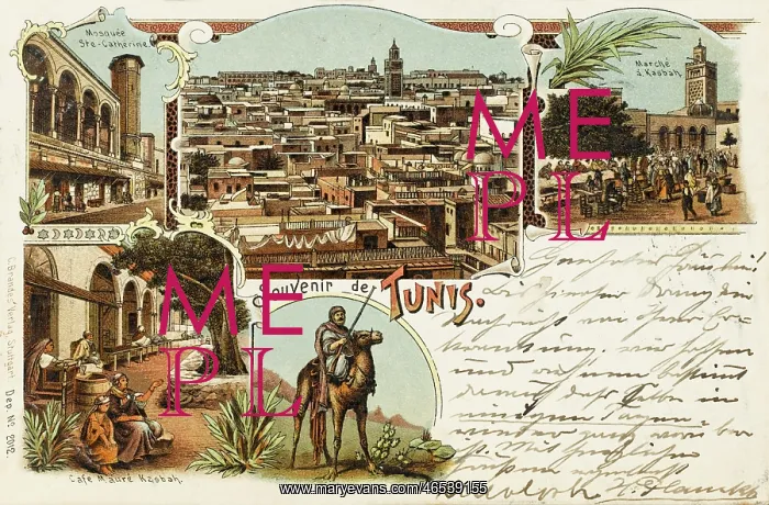 : Tunis - Tunisia - Souvenir card : Tunis - Tunisia - Souvenir card