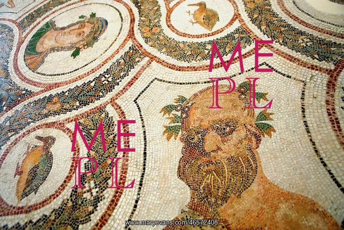: Tunisia. El Djem. Mosaic : Tunisia. El Djem. Mosaic