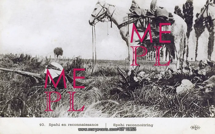 : Tunisia - A Spahi reconnoitering : Tunisia - A Spahi reconnoitering