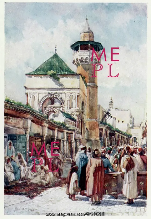 : TUNISIA / TUNIS MOSQUE : TUNISIA / TUNIS MOSQUE