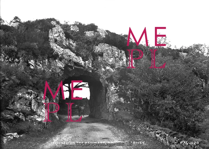 : Tunnel on the Kenmare Road, Killarney : Tunnel on the Kenmare Road, Killarney