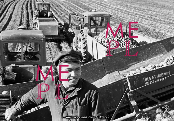 : Tunoshna state farm : Tunoshna state farm