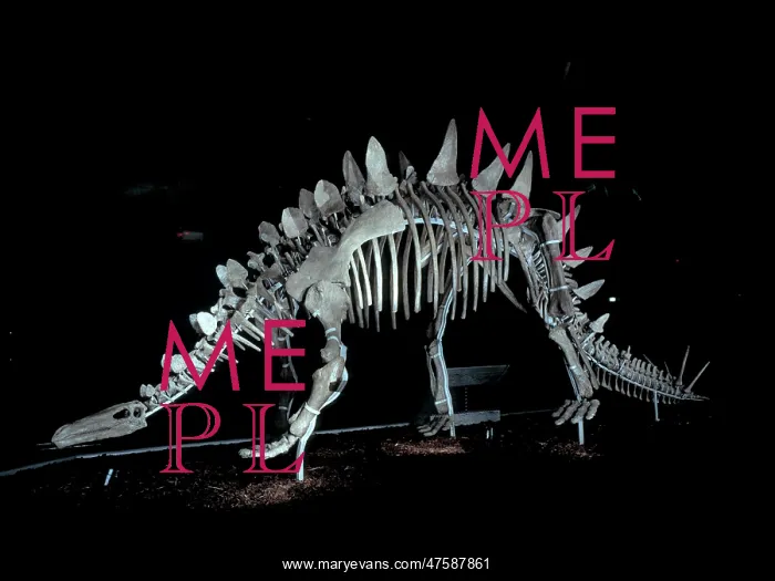 : Tuojiangosaurus : Tuojiangosaurus