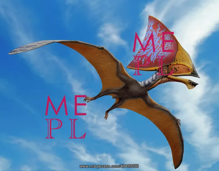 : Tupandactylus imperator, a pterosaur from the Early ? : Tupandactylus imperator, a pterosaur from the Early ?