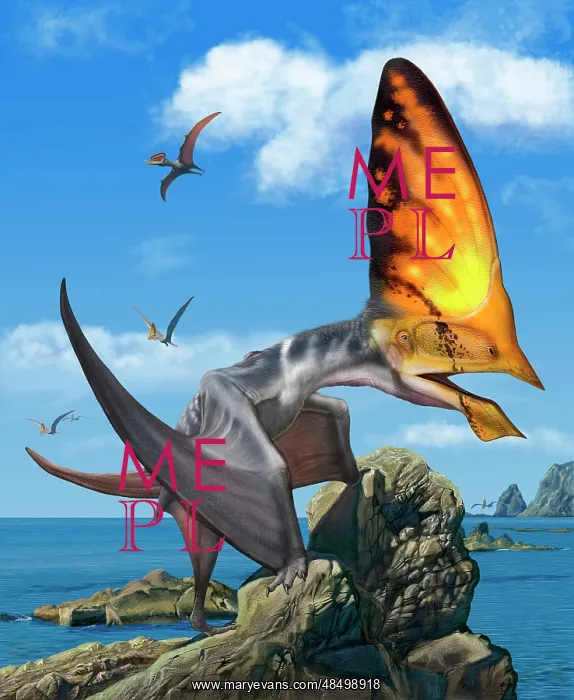 : Tupandactylus perched on a rock during the Early Cretaceous : Tupandactylus perched on a rock during the Early Cretaceous