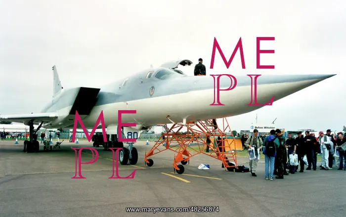 : Tupolev Tu-22M-3 80 Blue : Tupolev Tu-22M-3 80 Blue