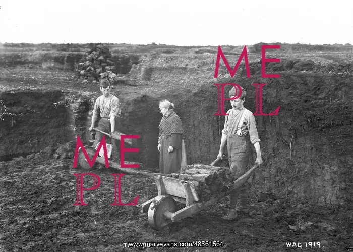 : Turf Cutting : Turf Cutting