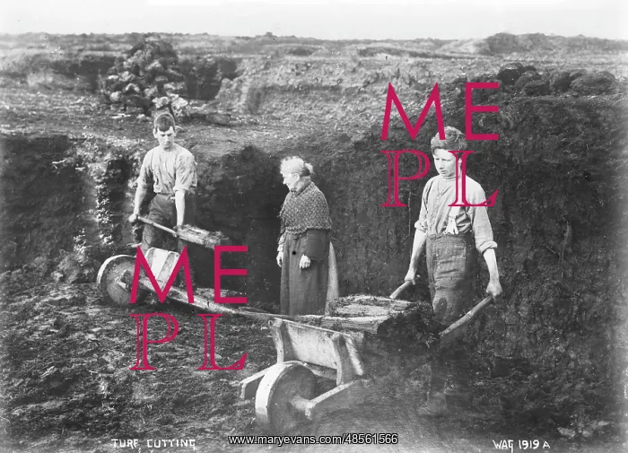 : Turf Cutting : Turf Cutting