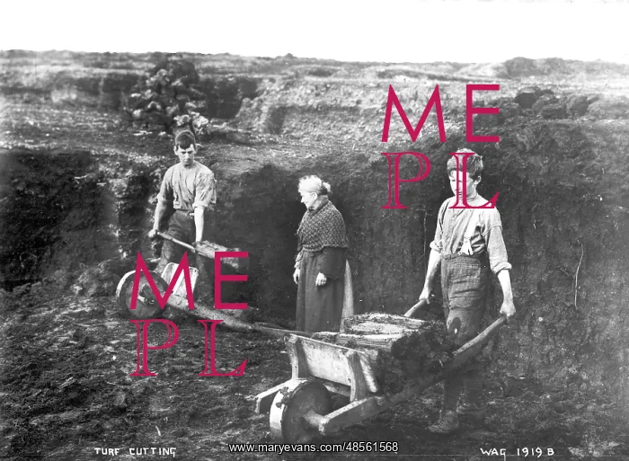 : Turf Cutting : Turf Cutting