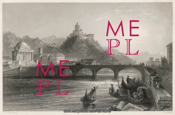  : TURIN / BRIDGE / PO 1836