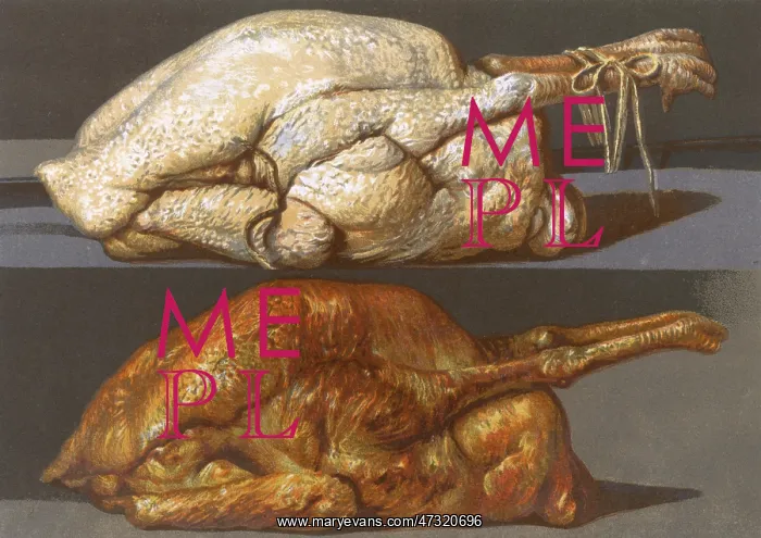  : TURKEY BEFORE & AFTER