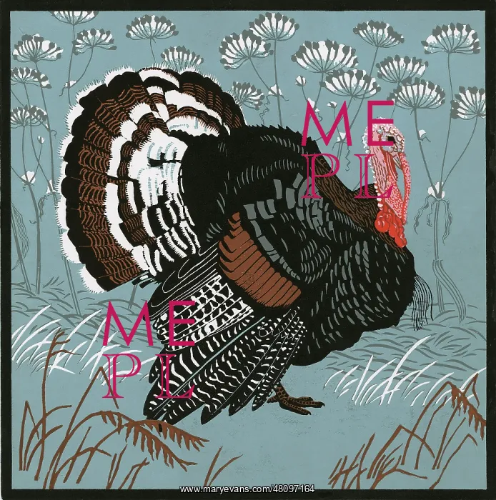 : Turkey - linocut print by Robert Gillmor : Turkey - linocut print by Robert Gillmor
