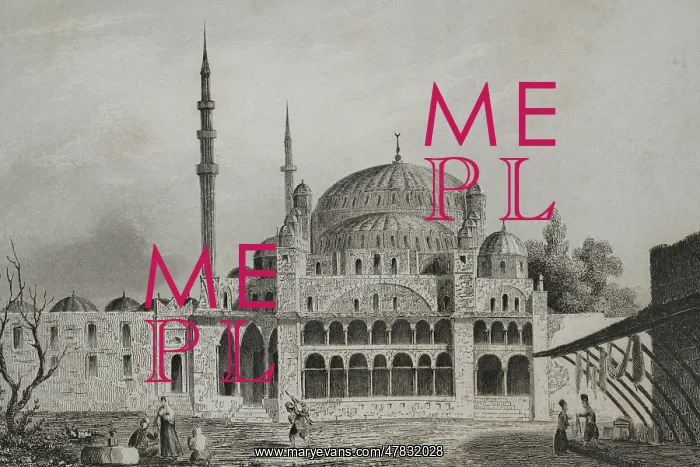 : Turkey. Constantinople. The Mosque of the Valide Sultan : Turkey. Constantinople. The Mosque of the Valide Sultan