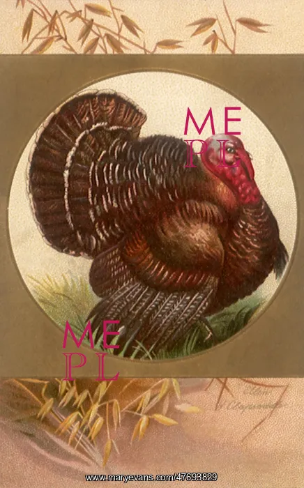  : Turkey Framed in a Gold Circle