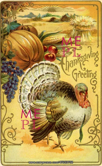  : Turkey and Fruit