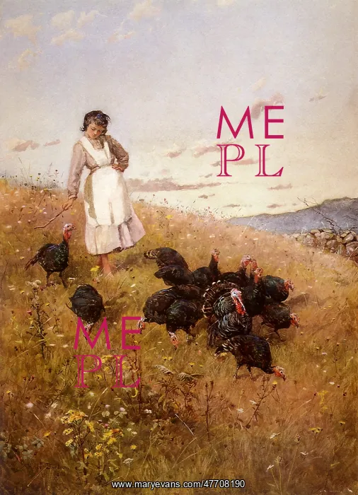 : Turkey Girl : Turkey Girl