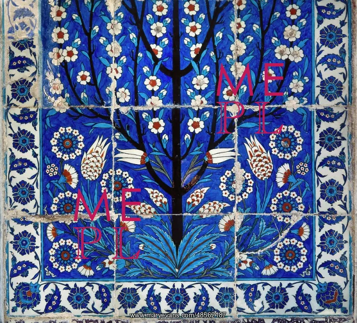 : Turkey. Istanbul. Mausoleum of Roxela. 16th century. Wife of : Turkey. Istanbul. Mausoleum of Roxela. 16th century. Wife of