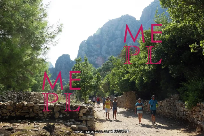 : Turkey, Lykia, Olympos : Turkey, Lykia, Olympos