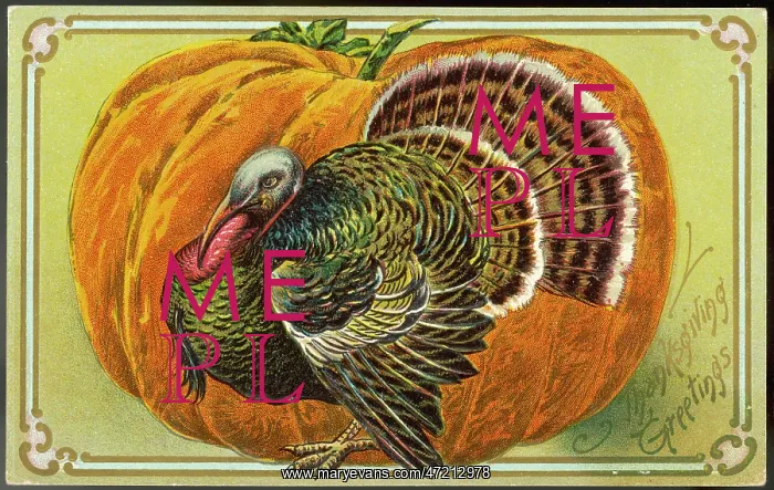  : Turkey and Pumpkin