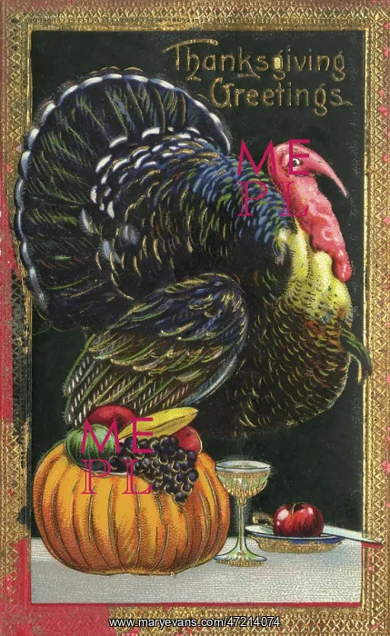 : Turkey and Pumpkin : Turkey and Pumpkin