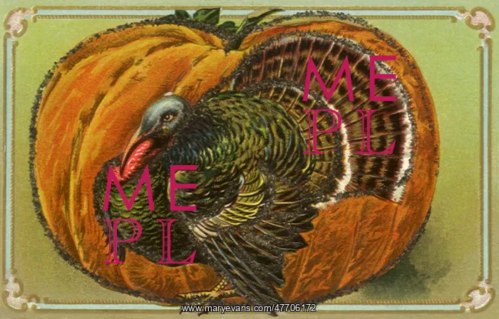  : Turkey, Pumpkin