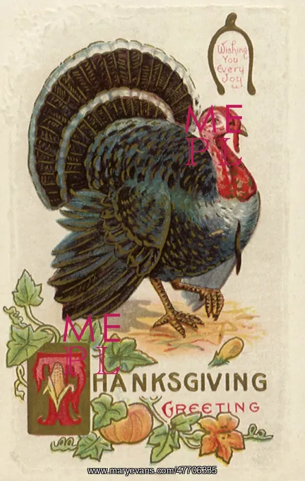  : Turkey, Pumpkin Vine
