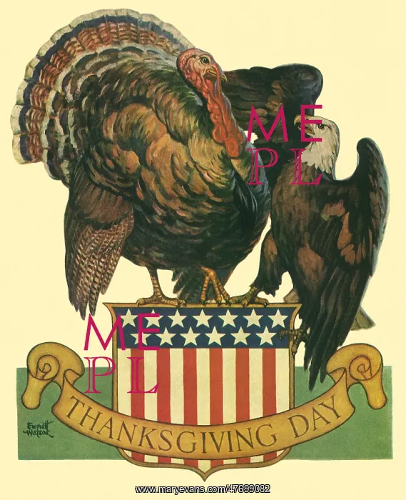 : Turkey Shoving Eagle : Turkey Shoving Eagle